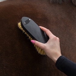 QHP Grooming sæt ROYAL - Naturbørster i æske /Sort - Dandy Brush til hestens krop